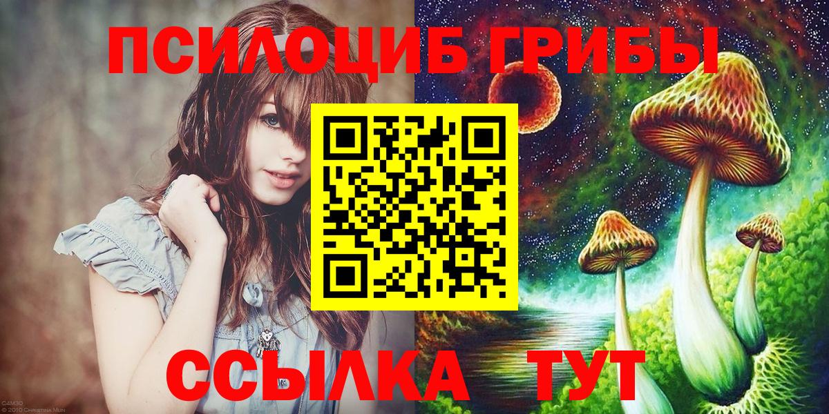 Псилоцибиновые грибы Psilocybine cubensis Кыштым