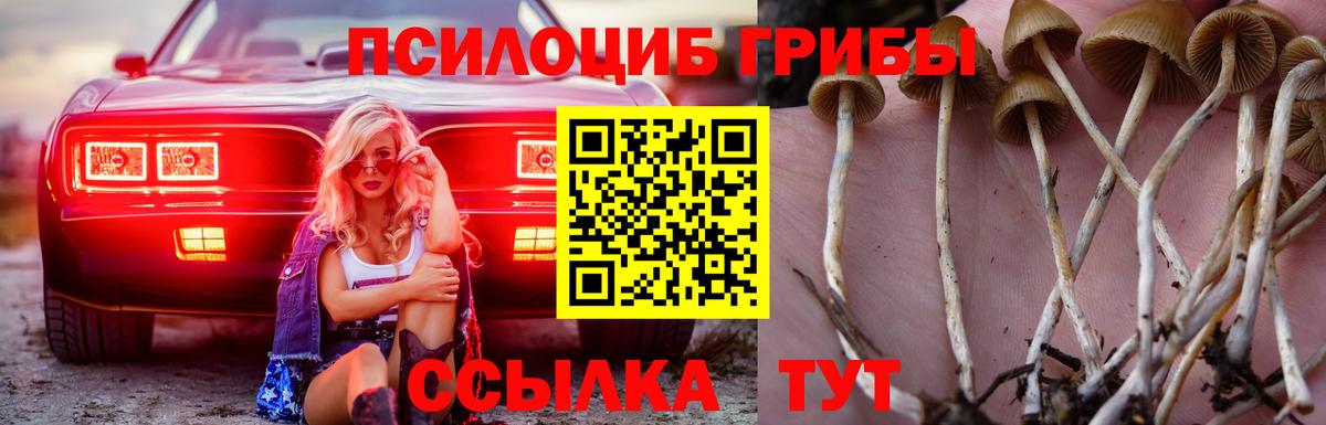 Галлюциногенные грибы Psilocybe  Вход с VPN  Галлюциногенные грибы мухоморы  Кыштым 